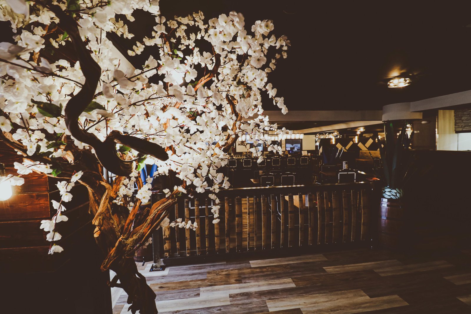 Dining room atmosphere Tequila Fuego Longview